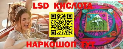 сатива Ставрополь