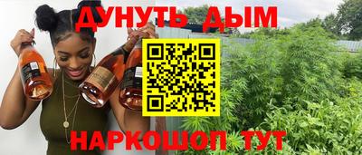 сатива Ставрополь