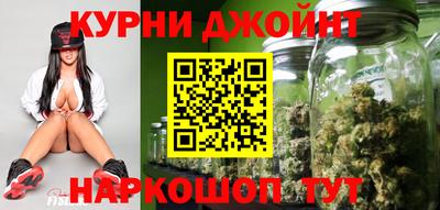 сатива Ставрополь