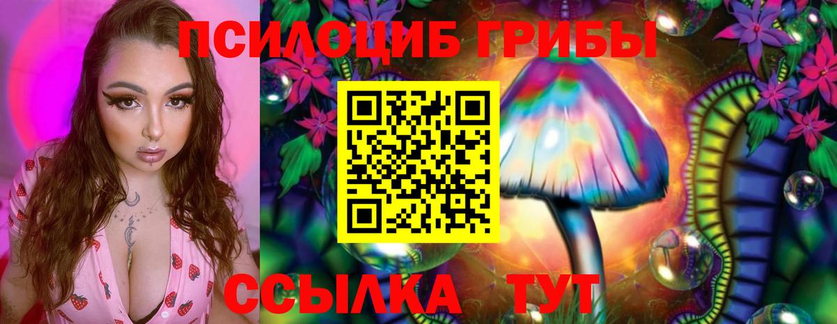 Галлюциногенные грибы GOLDEN TEACHER Новоалександровск