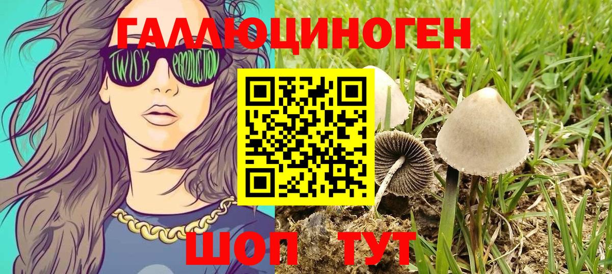 Псилоцибиновые грибы MAGIC MUSHROOMS  Вход с VPN  Новоалександровск 