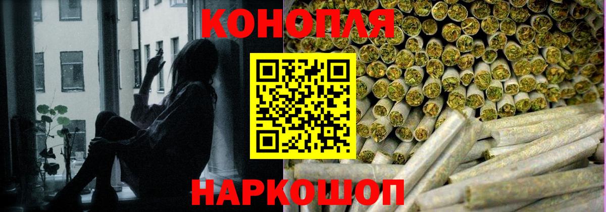 Бошки марихуана план  Бошки марихуана планчик  Вход с VPN  Марихуана конопля  Новоалександровск 